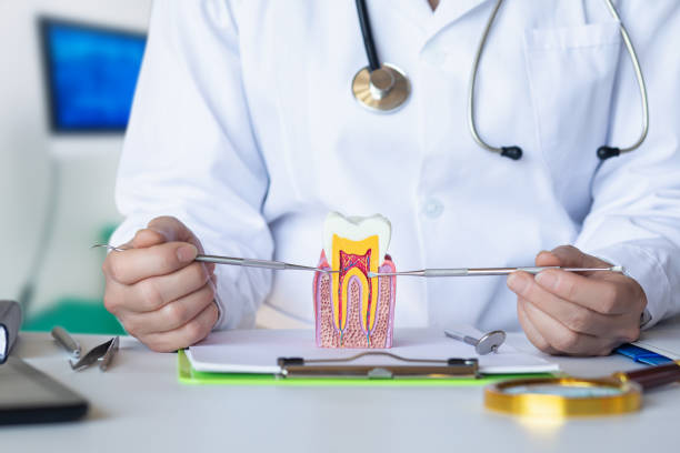 Best Broken Tooth Emergency  in Steelville, MO